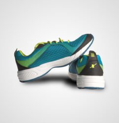 sports shoe4